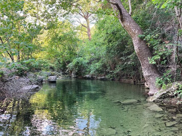 4207 Three Creek Trl