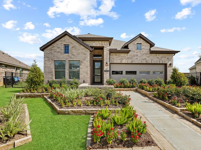 425 Blue Vervain TRL
