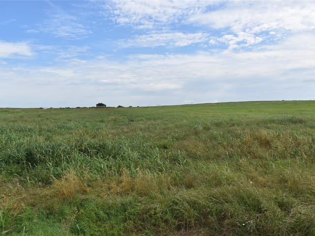 427 County Road 158