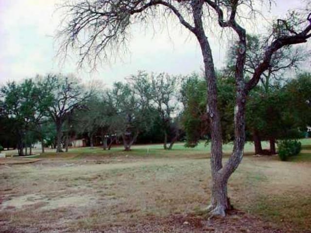 43 TREEHAVEN CT