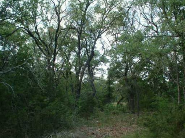 432 Spears Ranch RD