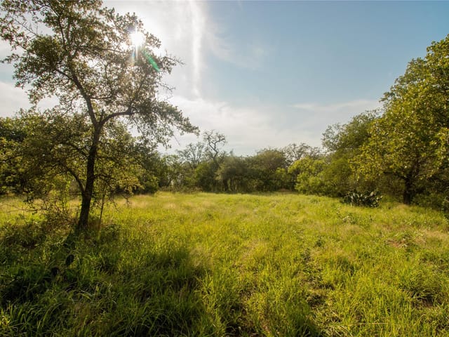 437 Firefly Field Ln