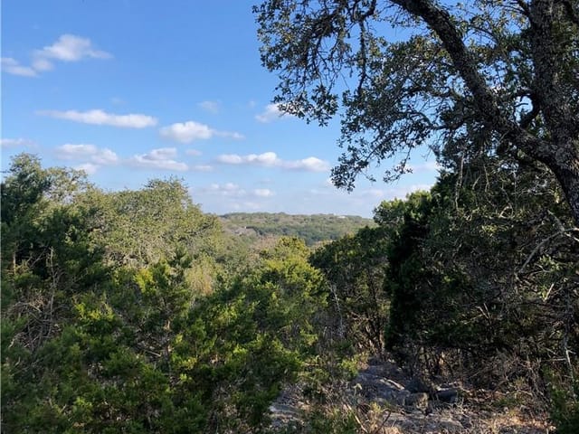 441 Cliffview CIR