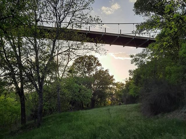 441 County Road 433