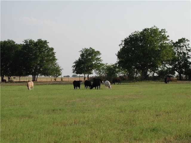 4420 STATE HIGHWAY 130