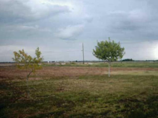 4442 County Road 406