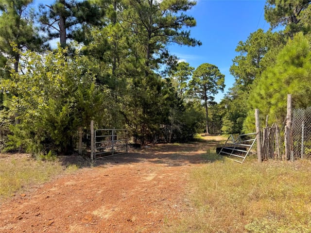 445 Pine Valley LOOP
