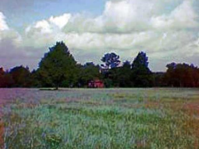 4528 CREAMER CREEK RD