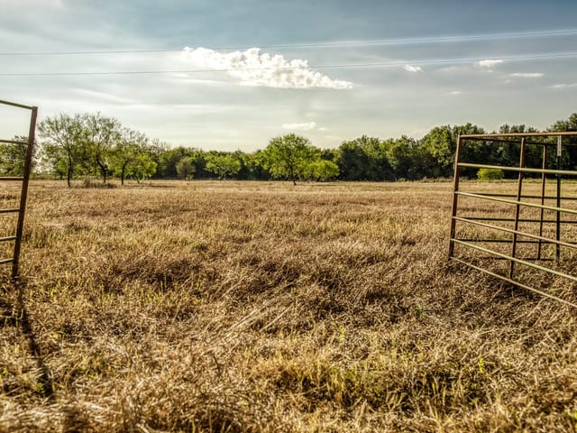 460 County Road 328