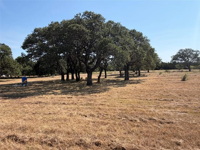 463 Rolling Hills DR
