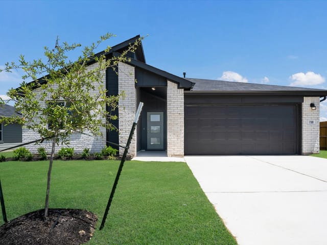 470 CAROLINA BUCKTHORN Dr
