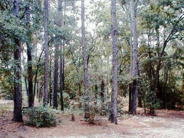 472 PINE TREE LOOP