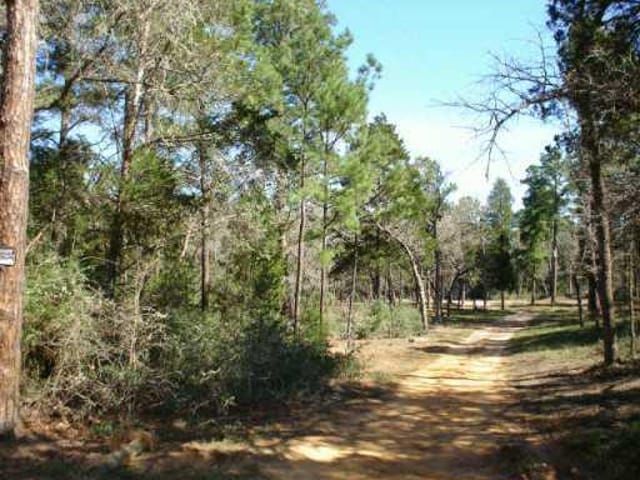 482 Pine Valley LOOP