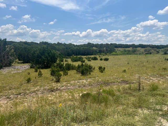 5.04 Acres Mourning Dove Ln