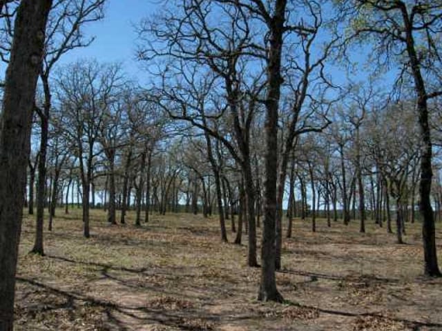 5.79 a Pine Valley LOOP