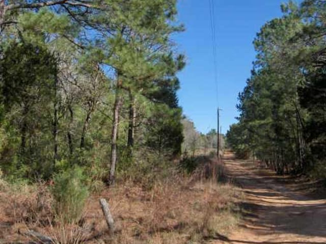 5 a. Squirrel RUN