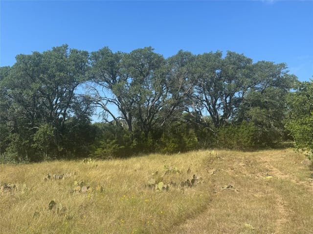 5 Back Bone creek DR