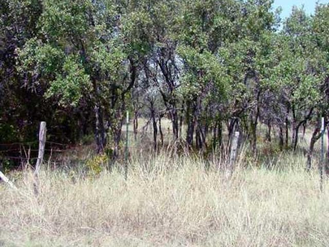 501 LONE STAR DR
