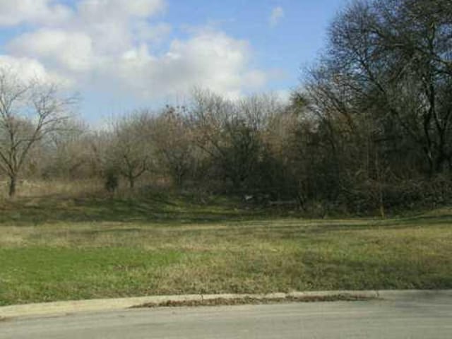 503 Sweet Gum