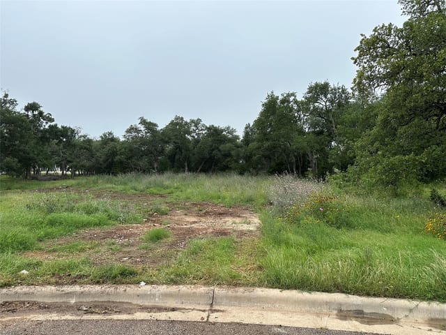 505 Milk Thistle CV