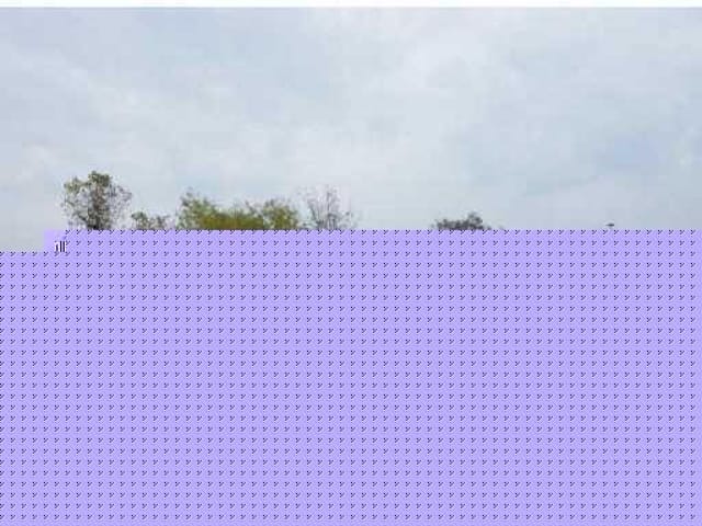 5055 FM 2984