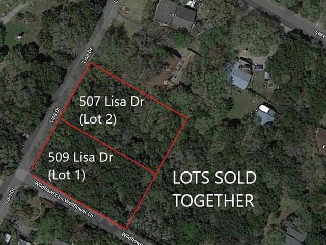 507 Lisa DR