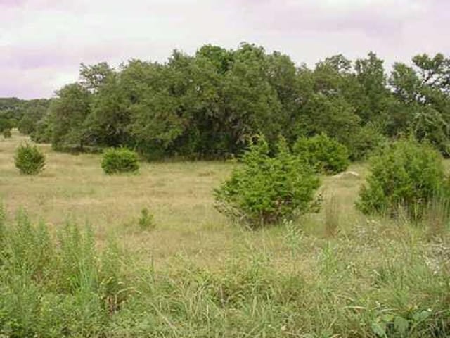 508 SHADYWOOD LN