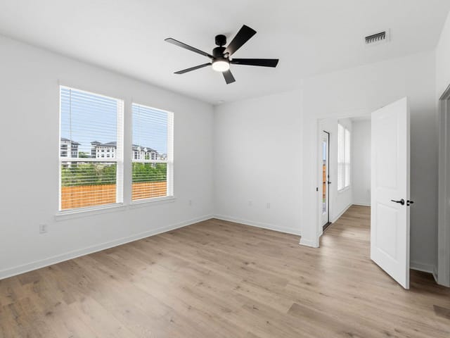 5107 Monarda Mint DR