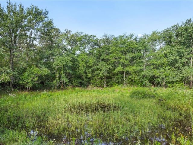 5163 County Road 358