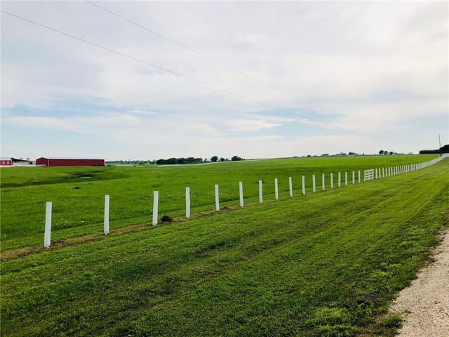 5300 County Road 424