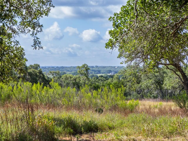 5385 Ranch Road 165