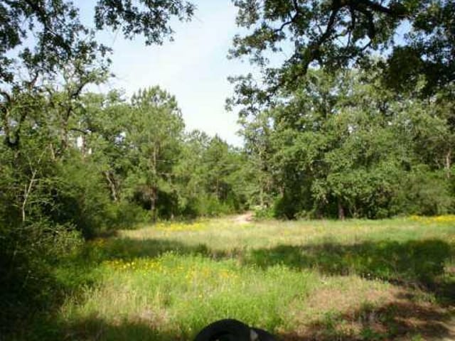 543 Pine Canyon DR