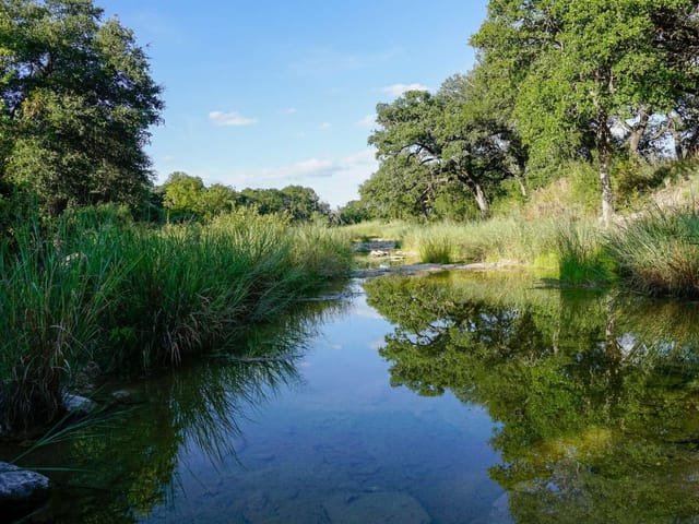 5434 County Road 335