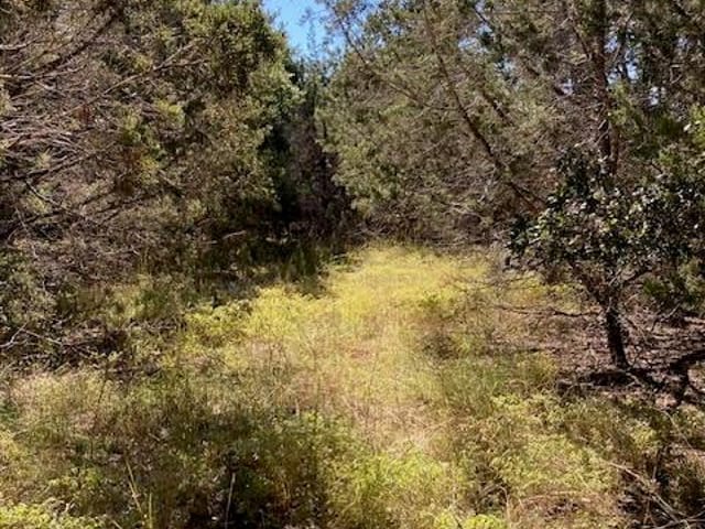 55 York Creek RD