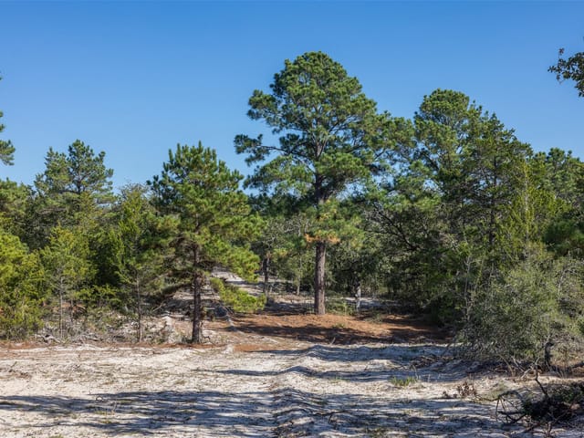 555 Altamira Ln