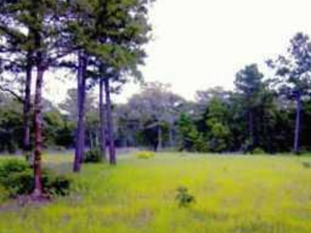 555 OTT RD
