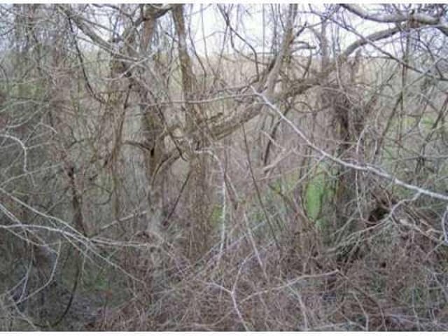 572 LEAGUE LINE RD
