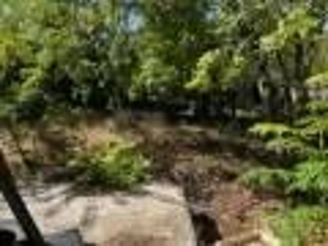 5804 Emerald Forest Dr