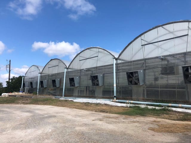 5820 W US Hwy 290