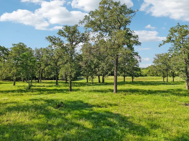 6 Acres County Road 211