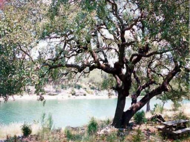 6 BRASADA LN