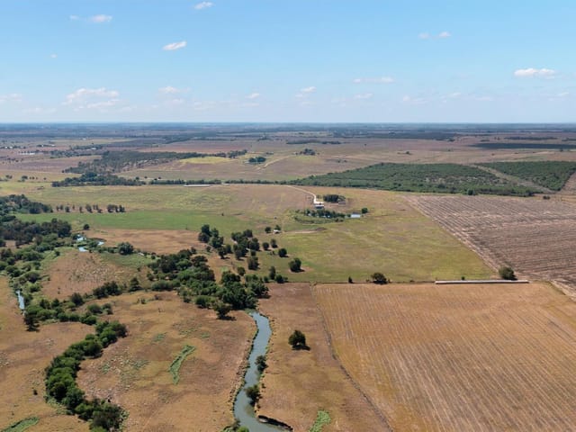 600 County Rd 447