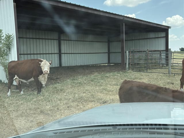 600 County Road 444 LAND