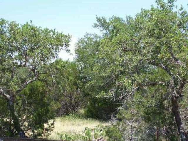 603 Vista View TRL