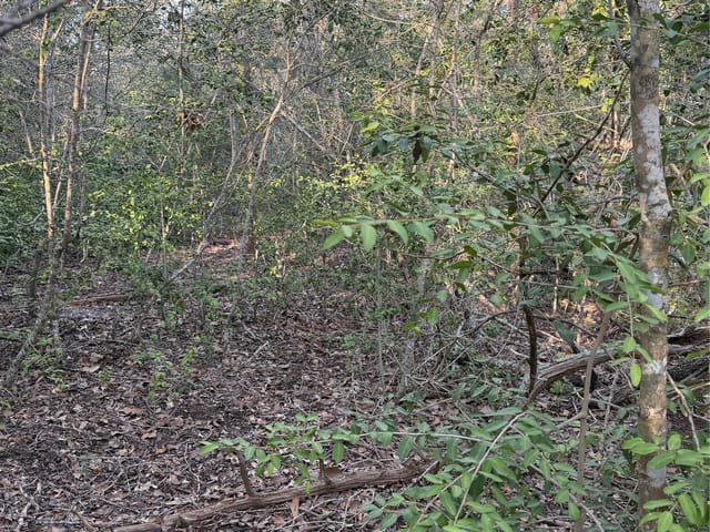 Lot 607 Waimanalo DR