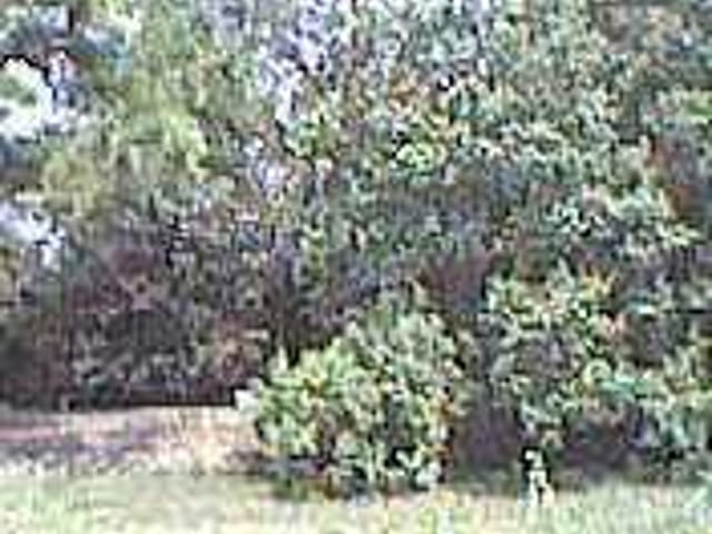 608 Mcdade RD