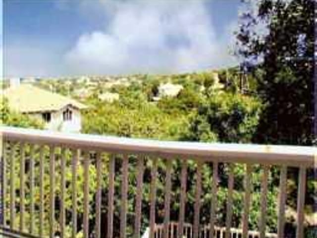 6100 DIAMOND HEAD DR