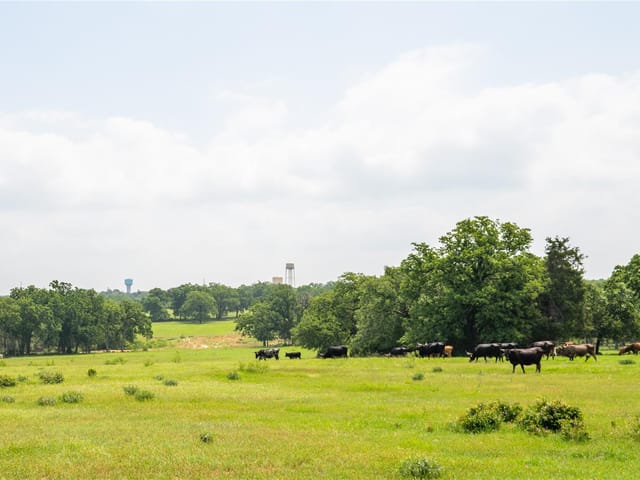 624 County Road 306