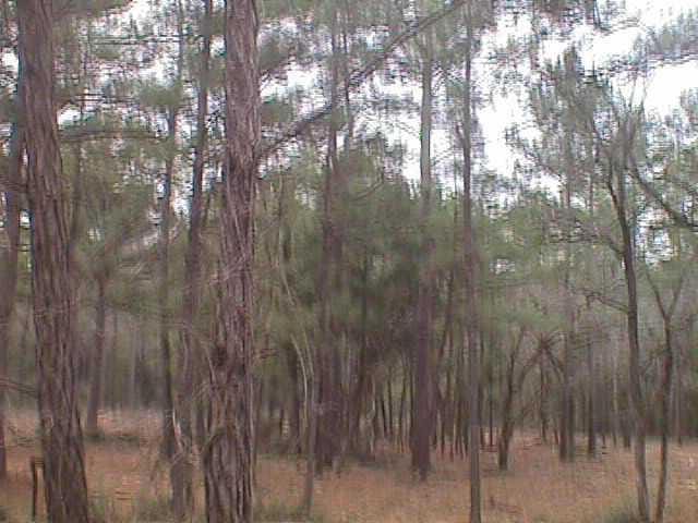 66 county RD