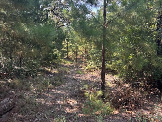 667 Paint Creek South RD
